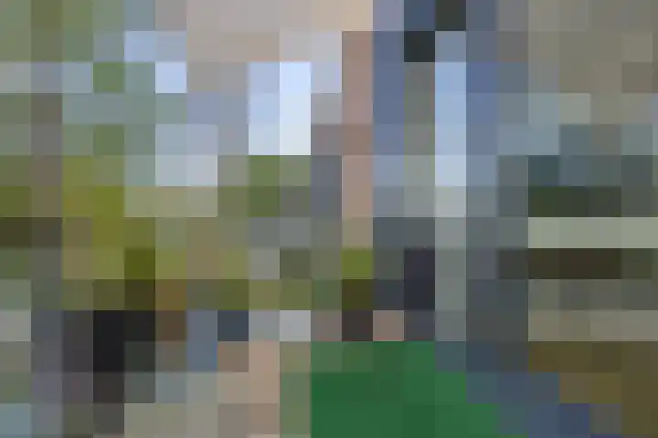 Overboslaan 26 Beverwijk thumbnail 20