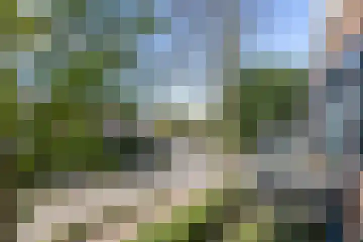 Overboslaan 26 Beverwijk thumbnail 22