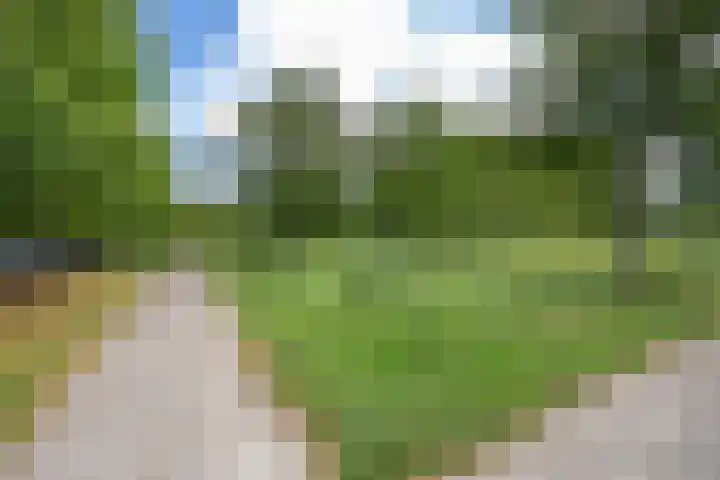 Overboslaan 26 Beverwijk thumbnail 29