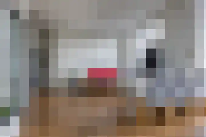 Overboslaan 26 Beverwijk thumbnail 6