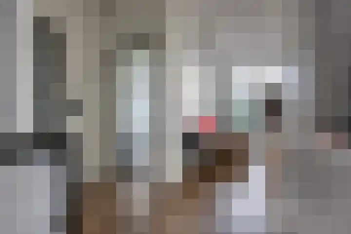 Overboslaan 26 Beverwijk thumbnail 8