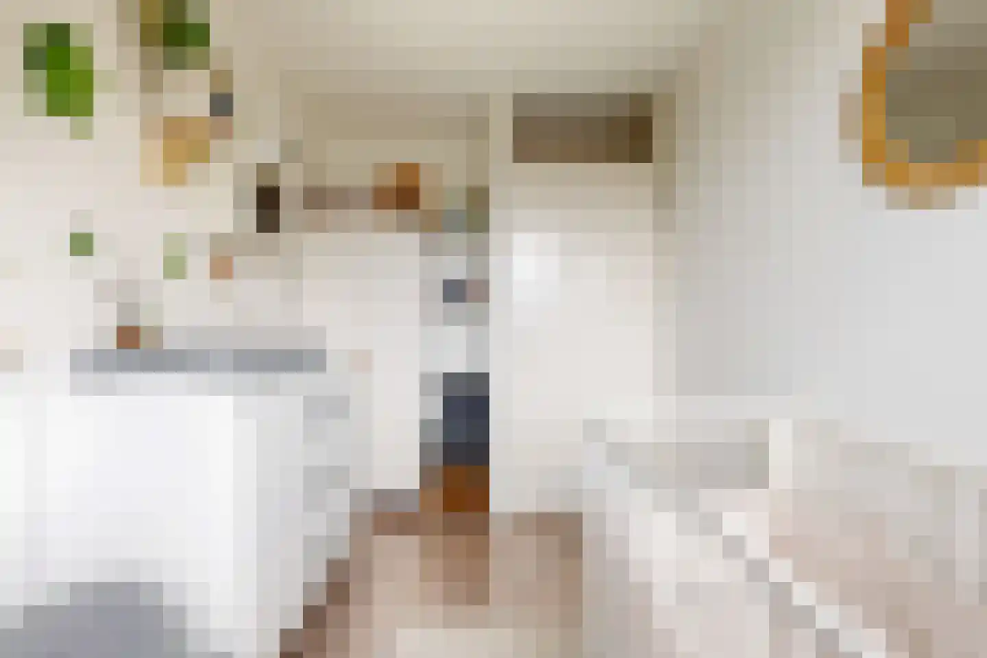 Overboslaan 33 Beverwijk thumbnail 14