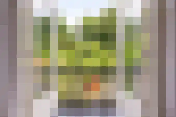 Overboslaan 37 Bilthoven thumbnail 18