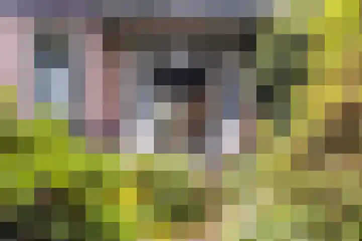 Overboslaan 37 Bilthoven thumbnail 25