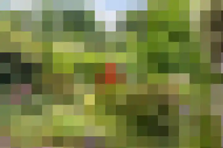 Overboslaan 37 Bilthoven thumbnail 26