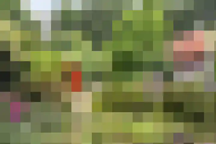 Overboslaan 37 Bilthoven thumbnail 27