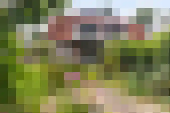 Overboslaan 37 Bilthoven thumbnail 31