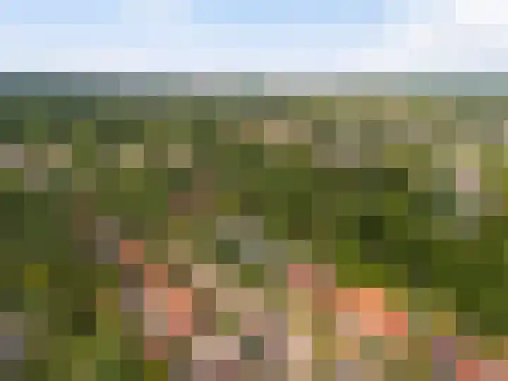 Overboslaan 37 Bilthoven thumbnail 34