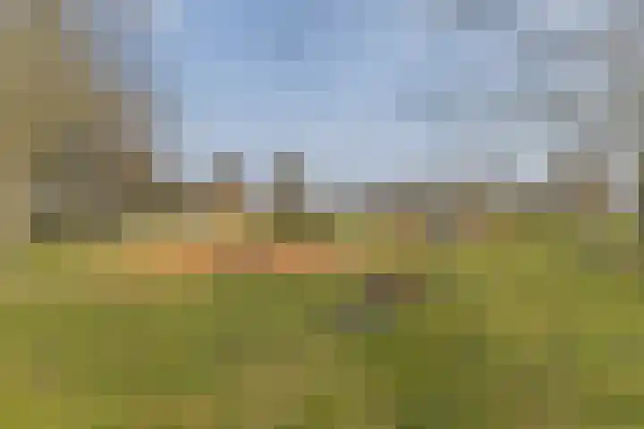 Overboslaan 53 Beverwijk thumbnail 32