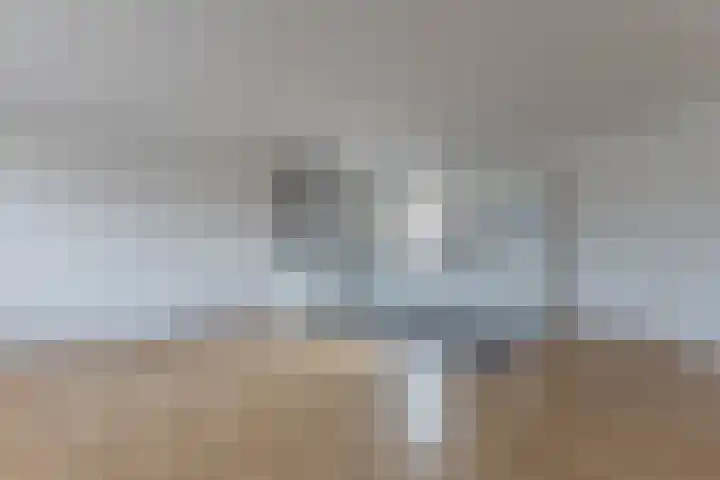 Overboslaan 53 Beverwijk thumbnail 8