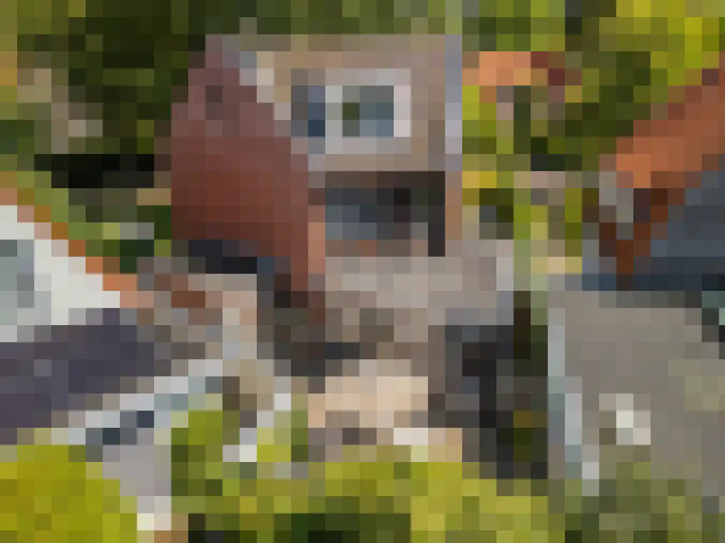 Overboslaan 65 A Bilthoven thumbnail 26