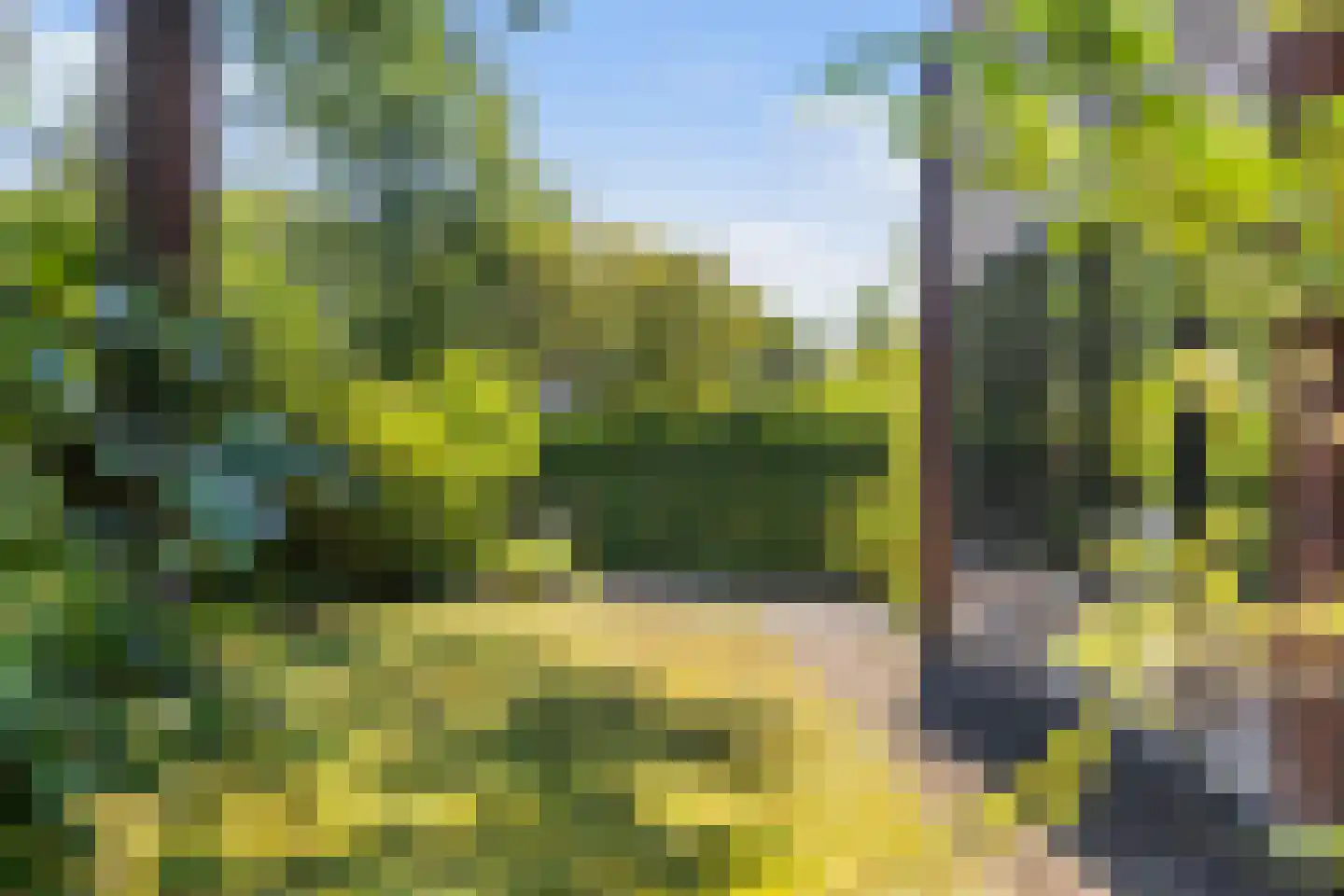 Overboslaan 65 A Bilthoven thumbnail 4