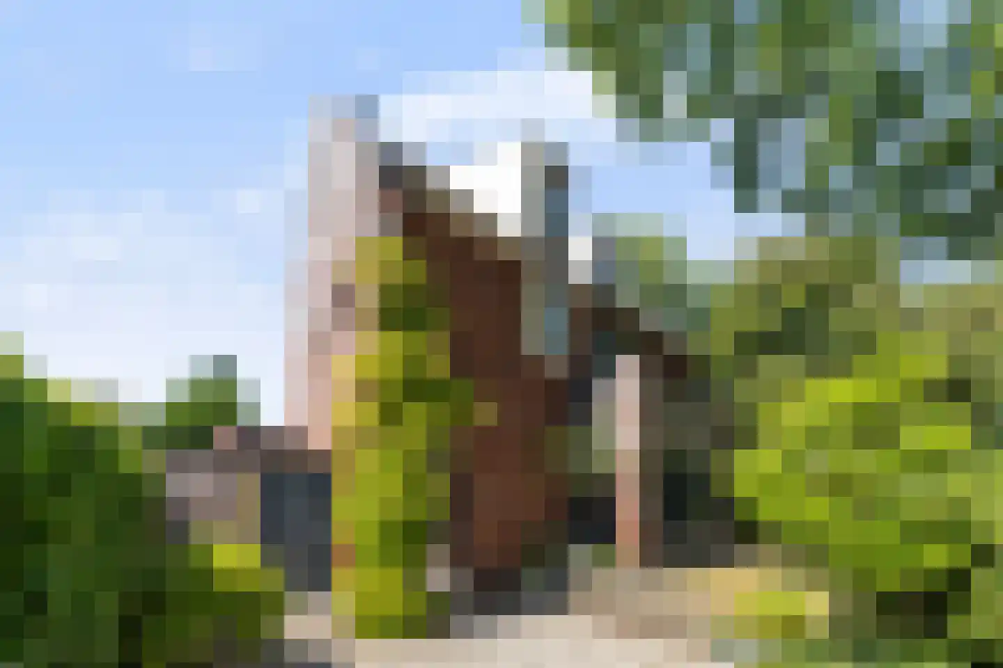 Overboslaan 65 A Bilthoven thumbnail 40