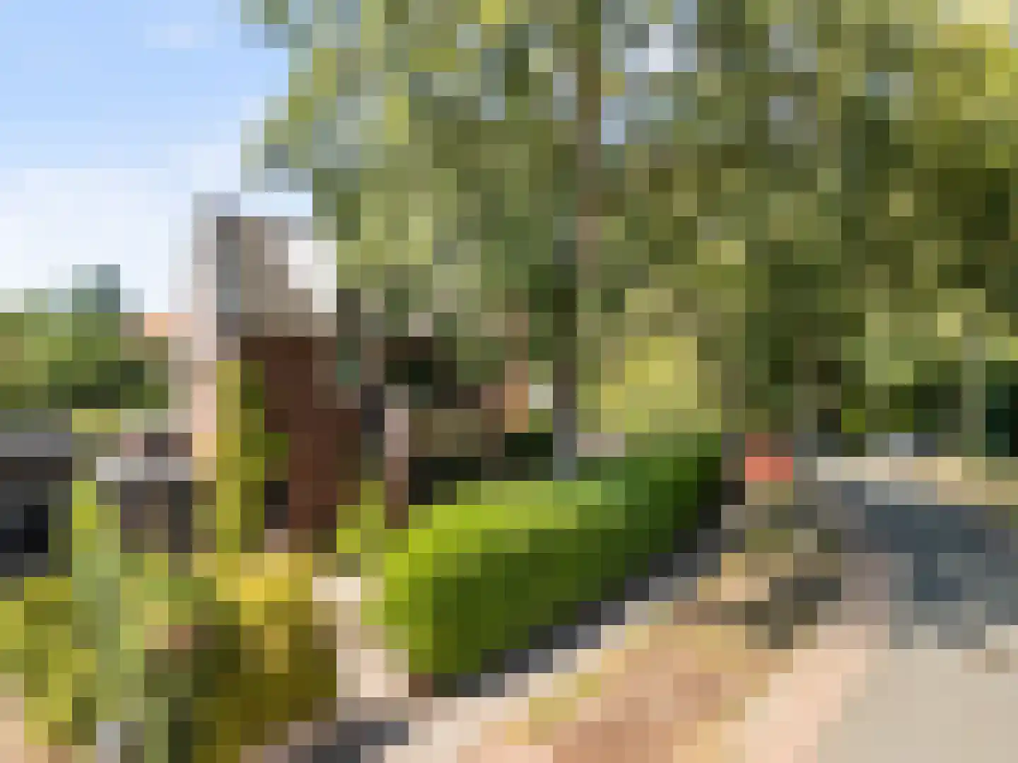 Overboslaan 65 A Bilthoven thumbnail 41