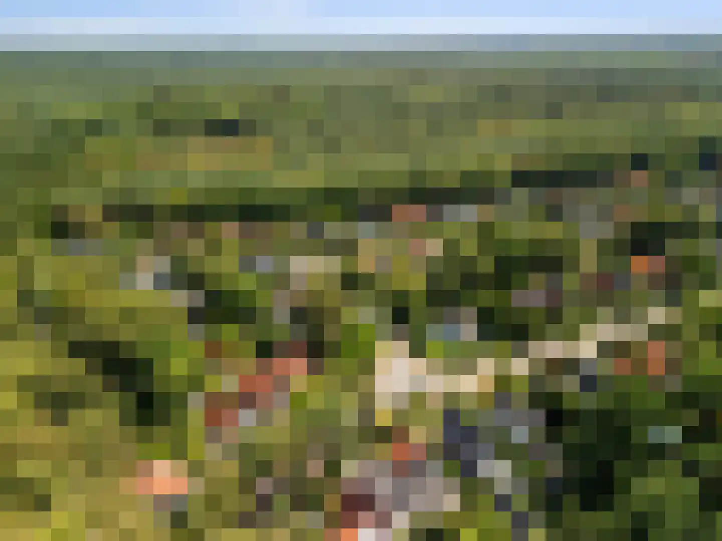 Overboslaan 65 A Bilthoven thumbnail 43