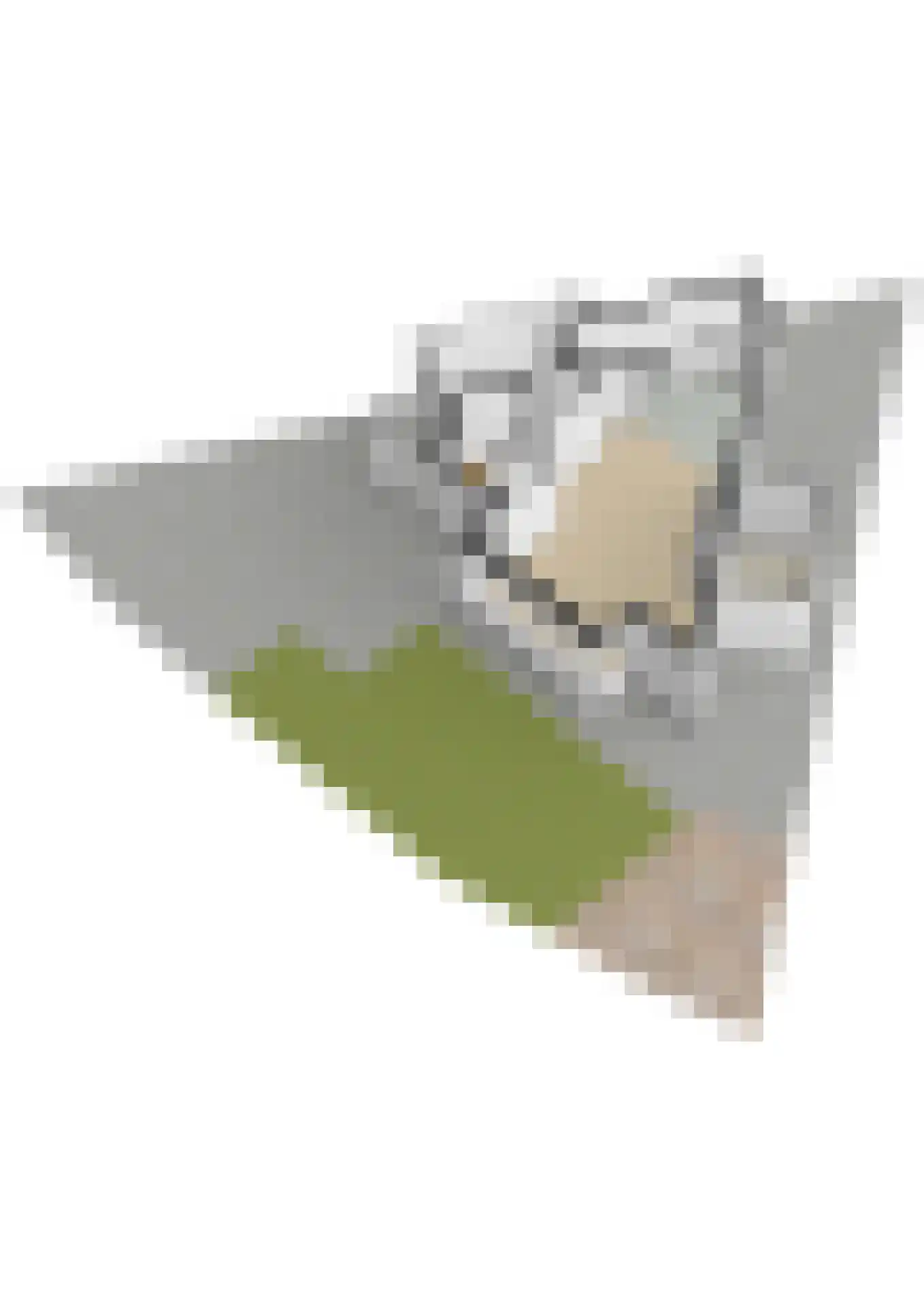 Overboslaan 65 A Bilthoven thumbnail 53