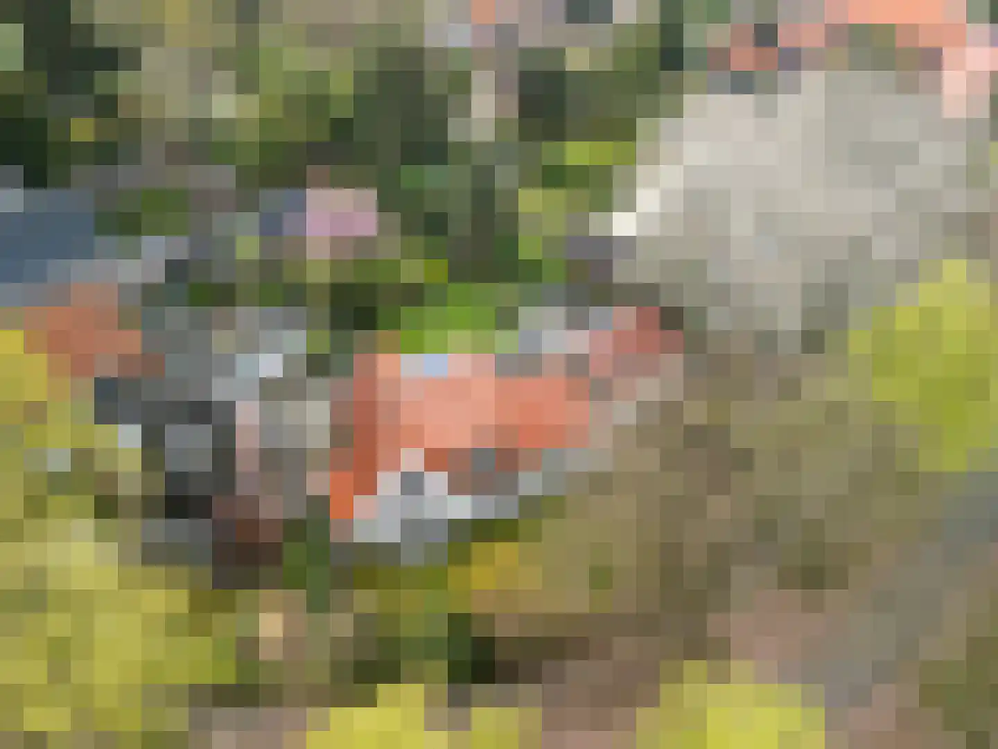 Overboslaan 67 Bilthoven thumbnail 62