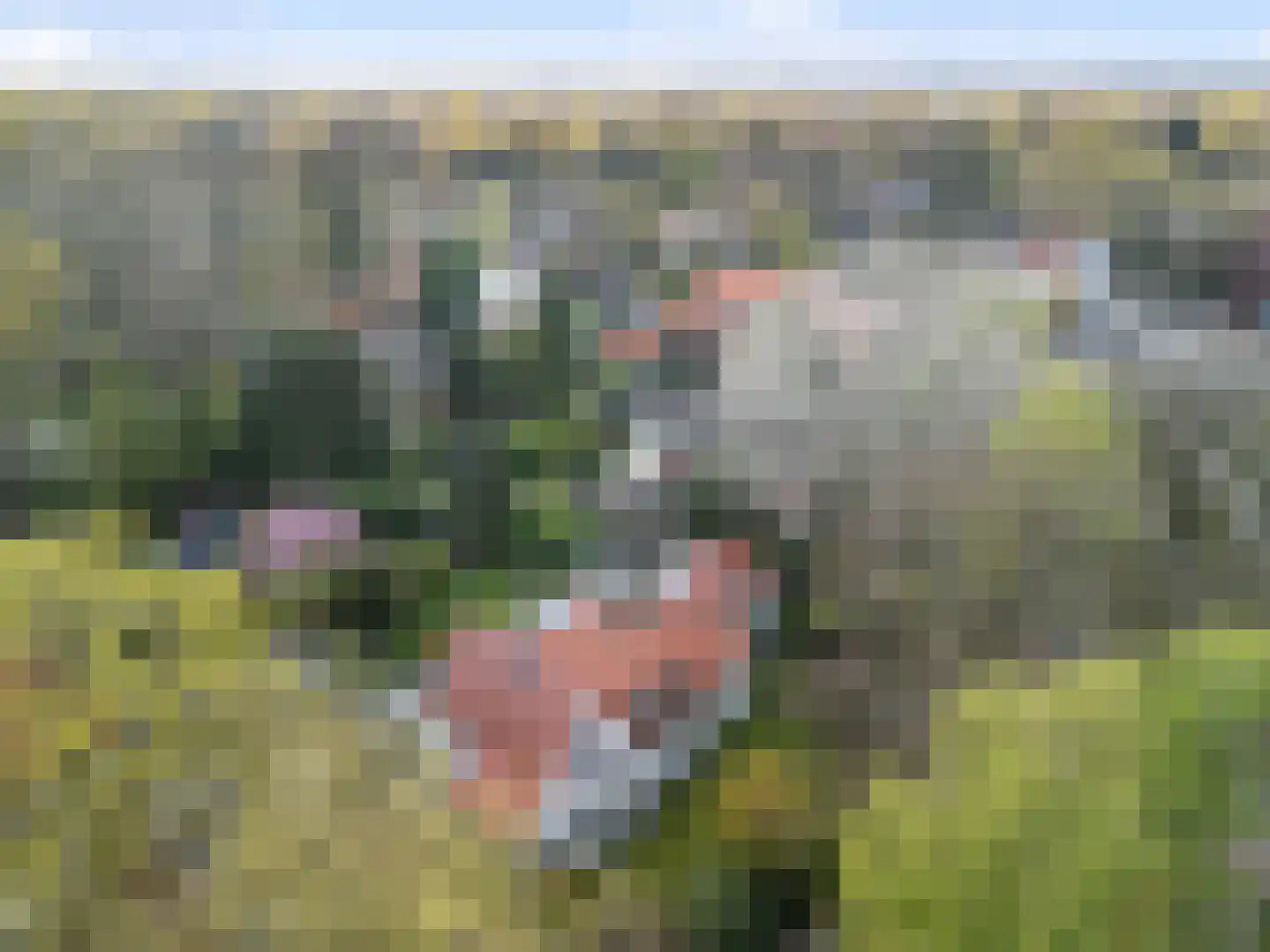 Overboslaan 67 Bilthoven thumbnail 63