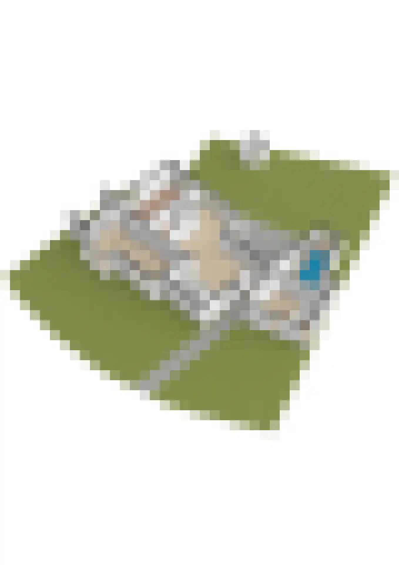 Overboslaan 67 Bilthoven thumbnail 74