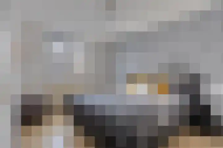 Overbroekerf 18 Hoensbroek thumbnail 20