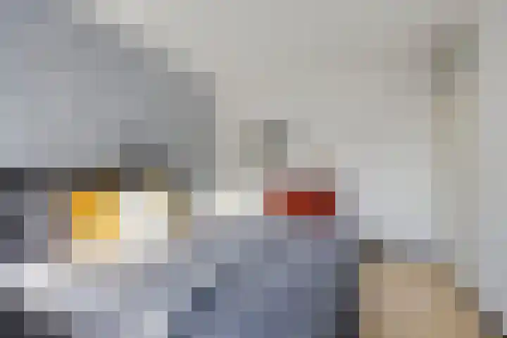 Overbroekerf 18 Hoensbroek thumbnail 21