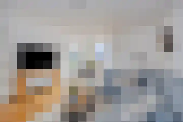Overbroekerf 18 Hoensbroek thumbnail 6