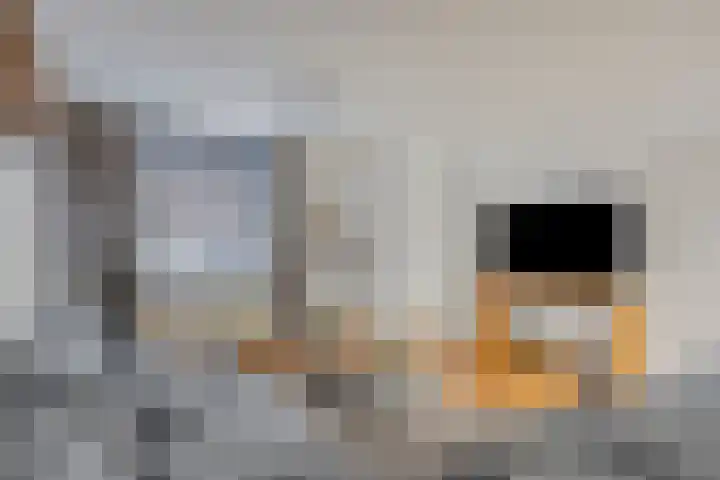 Overbroekerf 18 Hoensbroek thumbnail 7