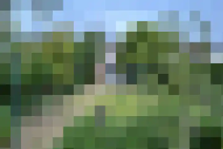 Overbroekerf 26 Hoensbroek thumbnail 4