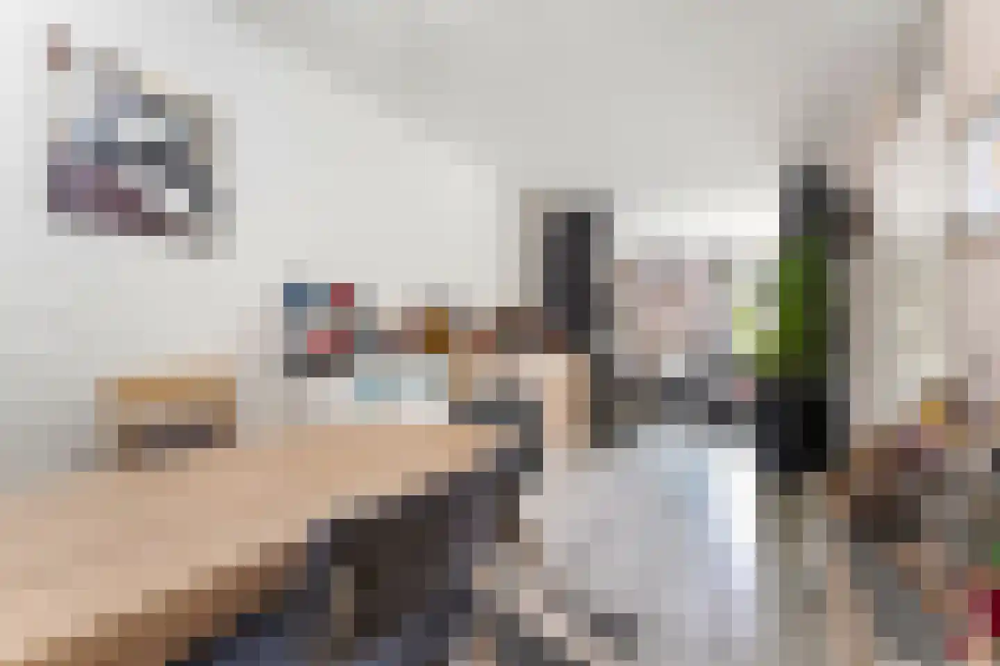 Overbroekerf 69 Hoensbroek thumbnail 7