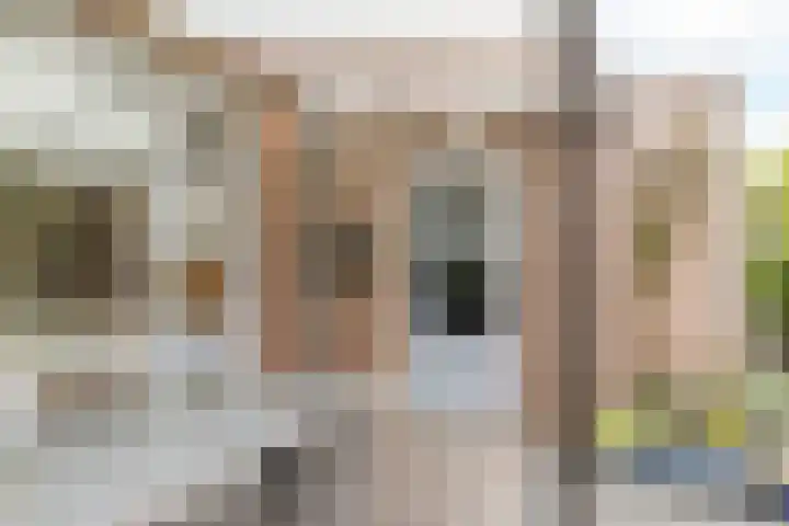 Overbroekerf 8 Hoensbroek thumbnail 22