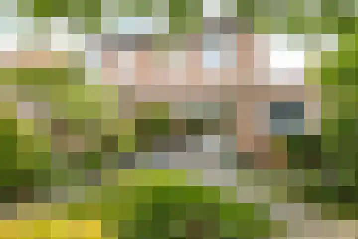 Overbroekerf 8 Hoensbroek thumbnail 25