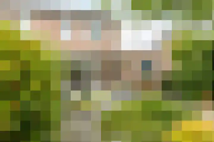 Overbroekerf 8 Hoensbroek thumbnail 26