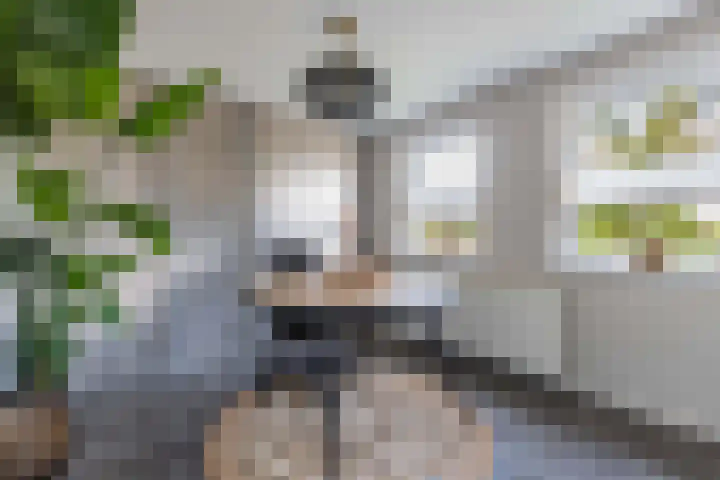 Overburen 17 Peperga thumbnail 20
