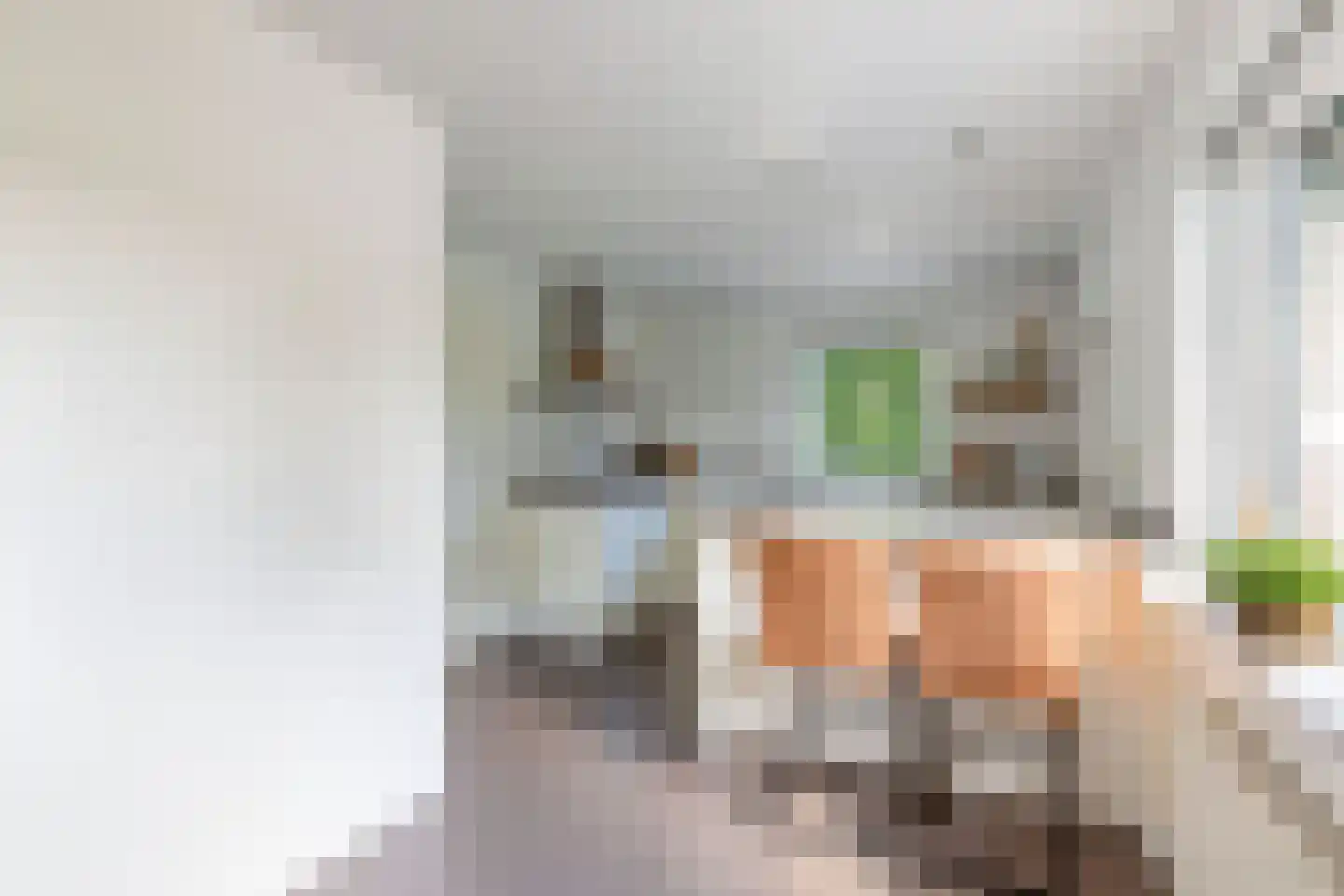 Overburen 17 Peperga thumbnail 22