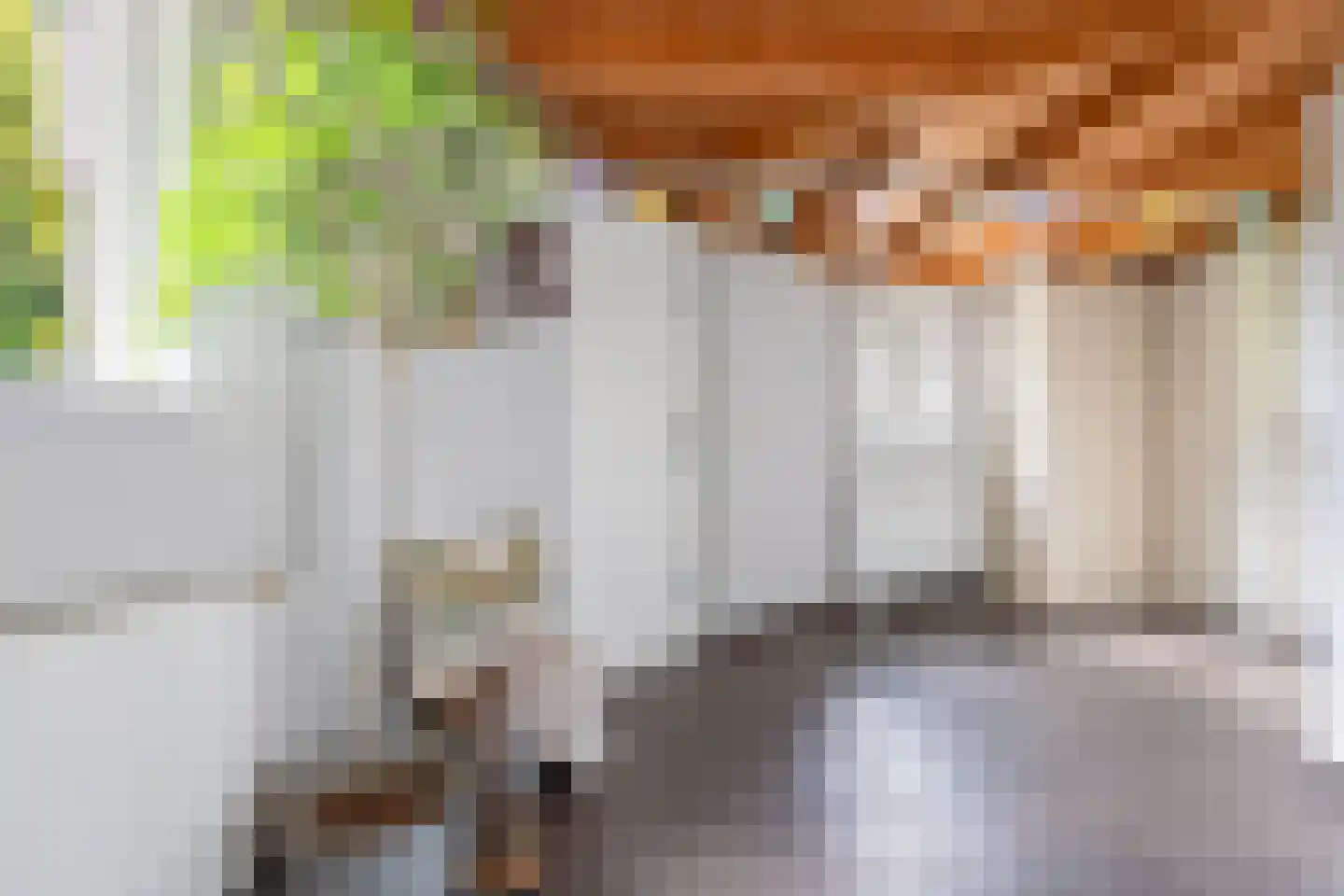 Overburen 17 Peperga thumbnail 27