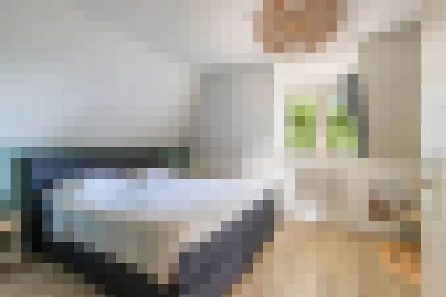 Overburen 17 Peperga thumbnail 29