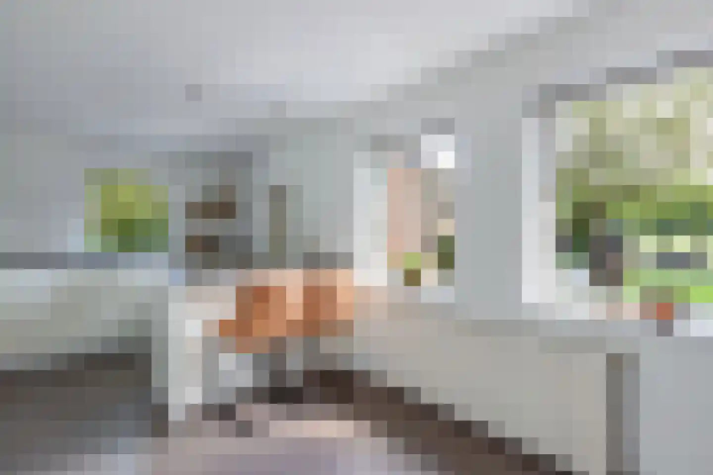 Overburen 17 Peperga thumbnail 4