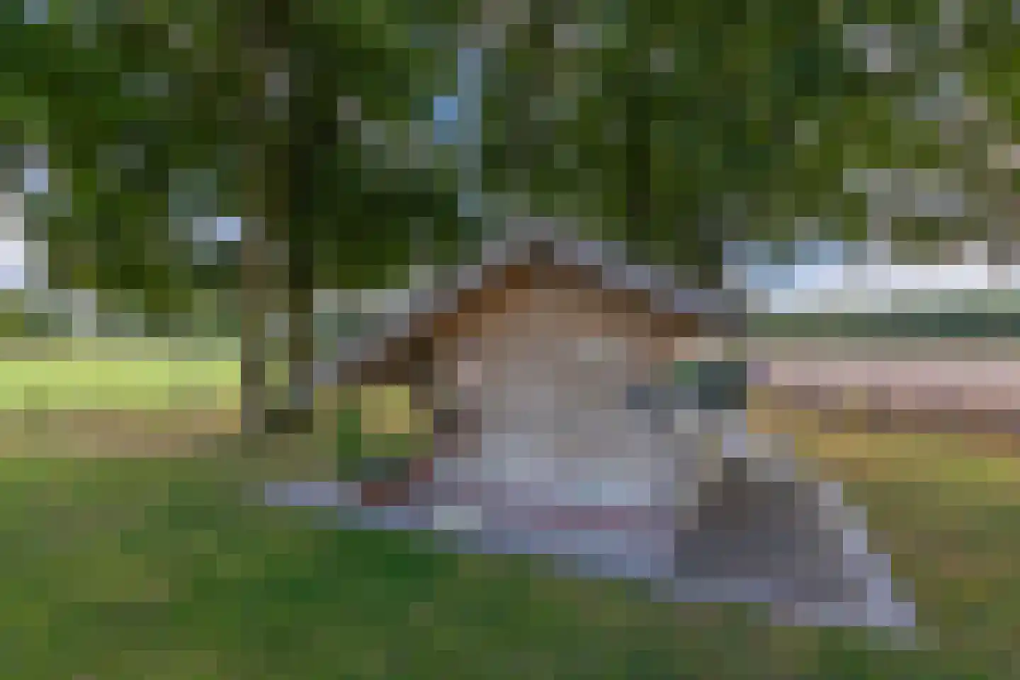 Overburen 17 Peperga thumbnail 48