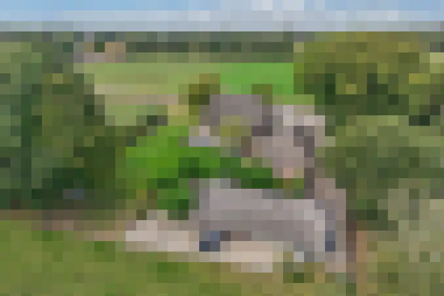Overburen 17 Peperga thumbnail 5