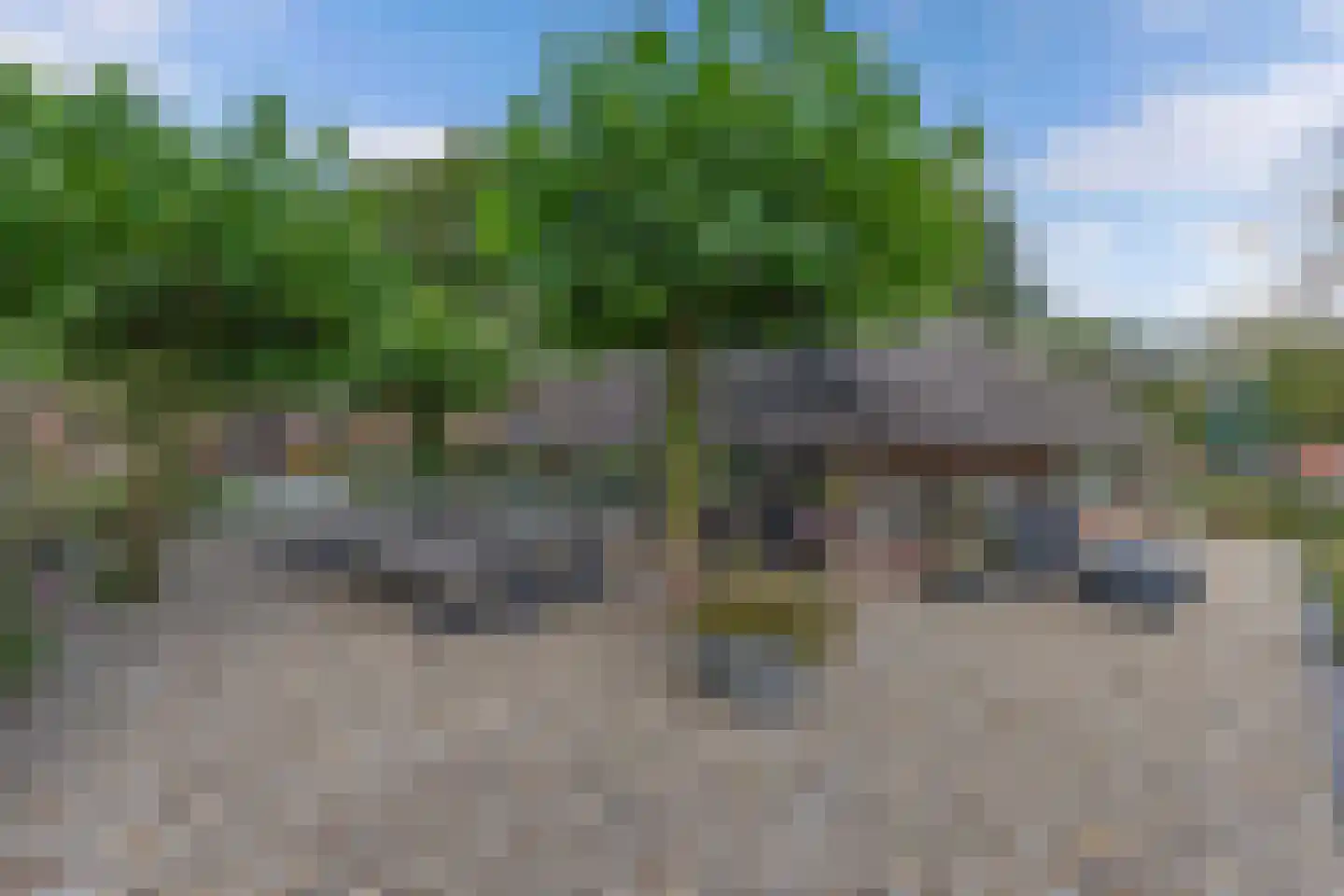 Overburen 17 Peperga thumbnail 53