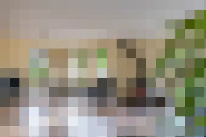 Overburen 2 Zuidbroek thumbnail 17