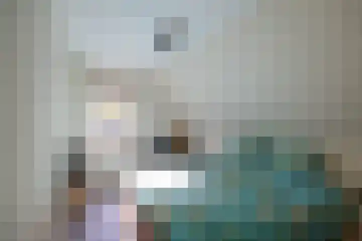 Overburen 2 Zuidbroek thumbnail 29