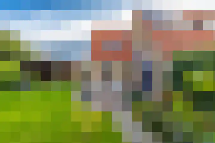 Overburen 2 Zuidbroek thumbnail 47