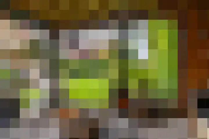Overburen 2 Zuidbroek thumbnail 50