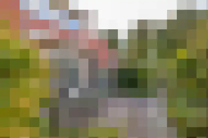 Overburen 2 Zuidbroek thumbnail 51