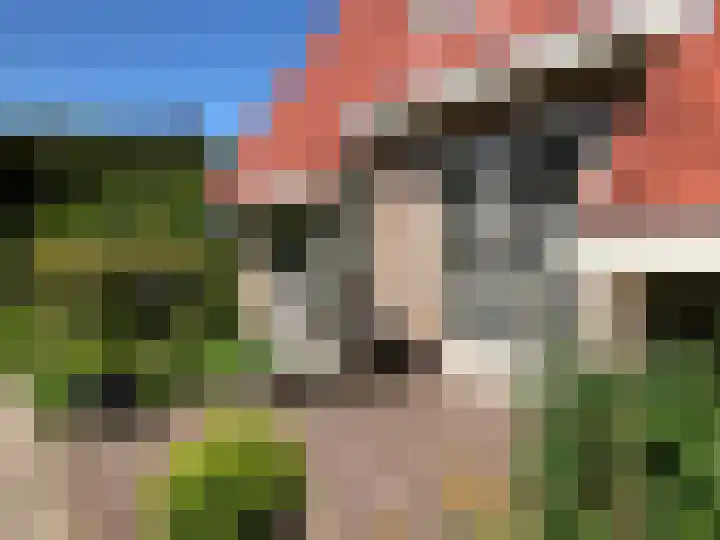 Overburen 2 Zuidbroek thumbnail 52