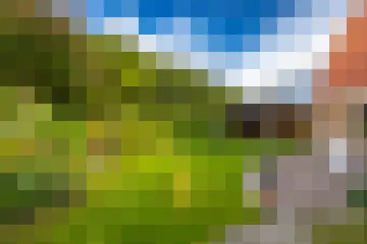Overburen 2 Zuidbroek thumbnail 53