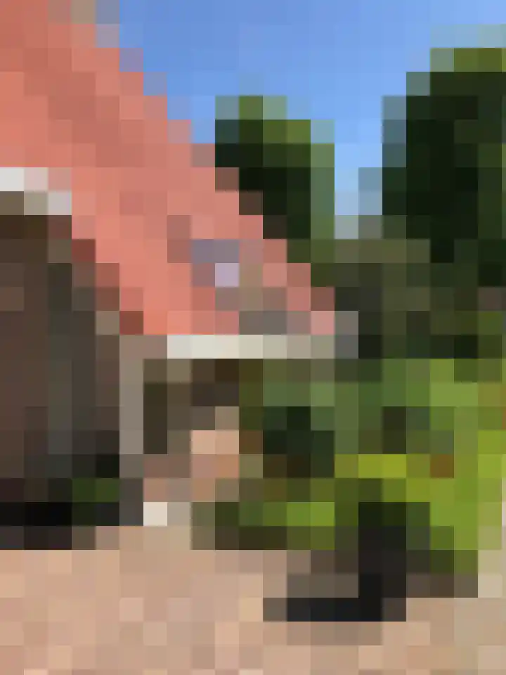 Overburen 2 Zuidbroek thumbnail 54