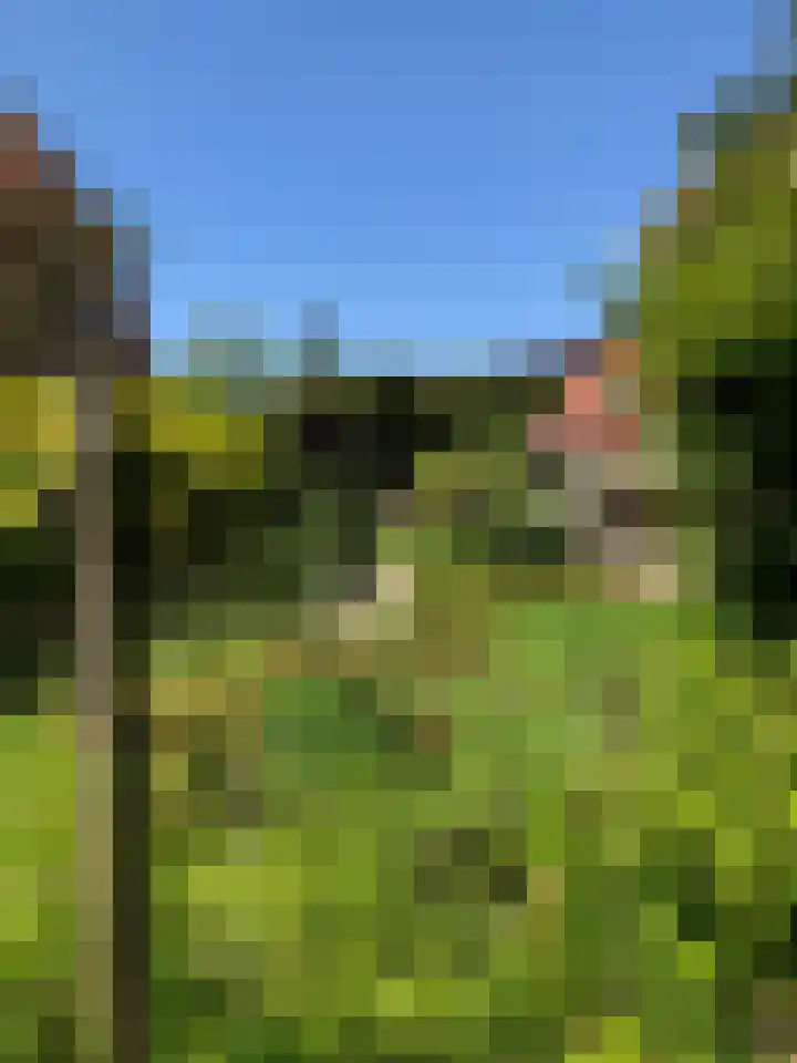 Overburen 2 Zuidbroek thumbnail 57