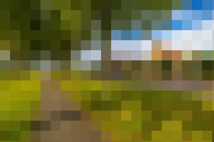 Overburen 2 Zuidbroek thumbnail 6